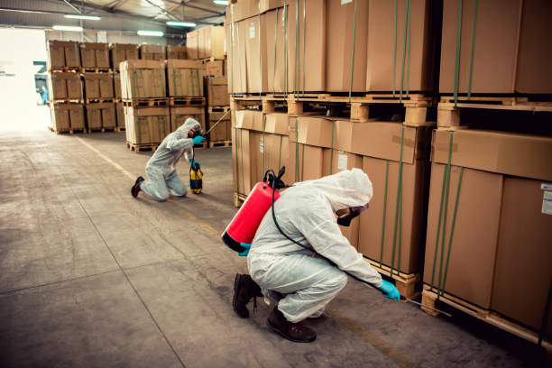 Best Cockroach Control Services  in Bristow, OK