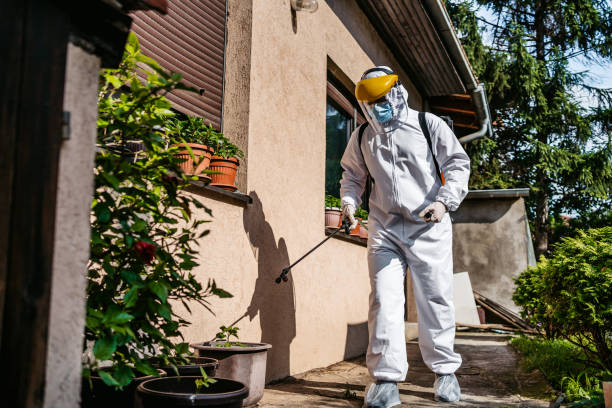 Best Ant Control Services  in Bristow, OK