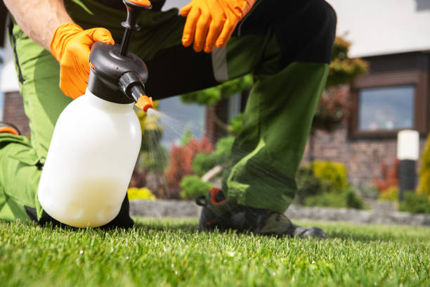 Best Emergency Pest Control  in Bristow, OK
