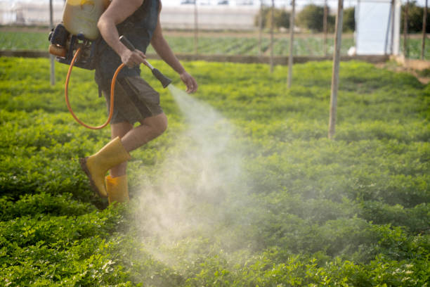 Best Exterminator Services  in Bristow, OK