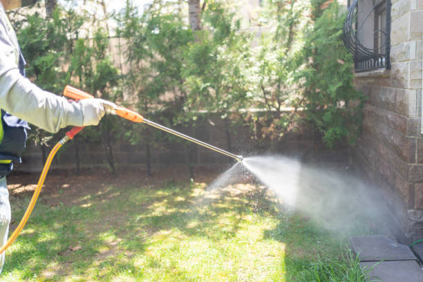 Best Pest Prevention Services  in Bristow, OK