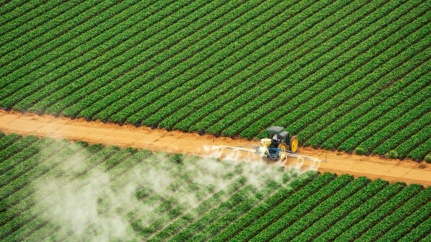 Best Ant Control Services  in Bristow, OK