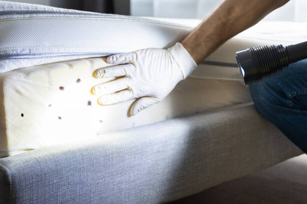 Professional Pest Control in Bristow, OK