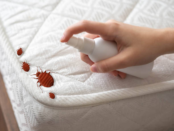 Best Bed Bug Extermination  in Bristow, OK