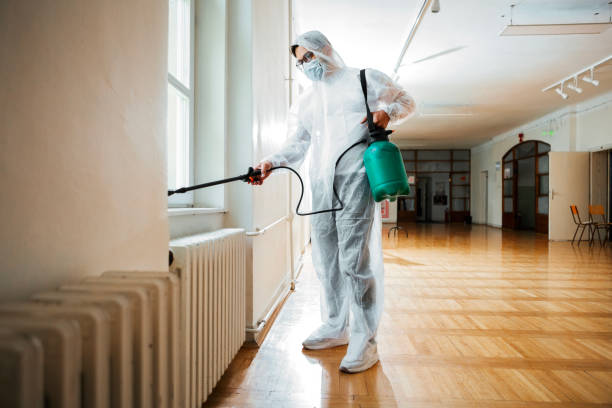 Best Termite Control Services  in Bristow, OK