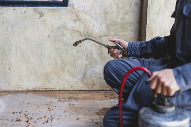 Best Residential Pest Control  in Bristow, OK